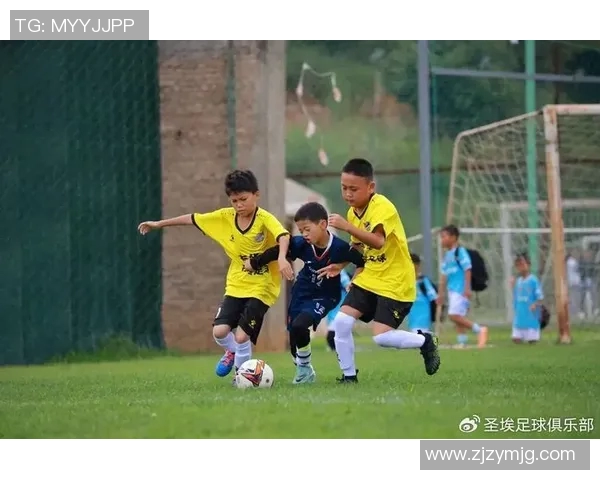 众星闪耀绿茵情深以足球为纽带定格荣耀瞬间